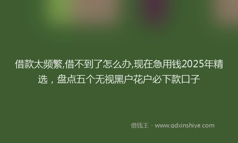 借款太频繁,借不到了怎么办,现在急用钱2025年精选，盘点五个无视黑户花户必下款口子