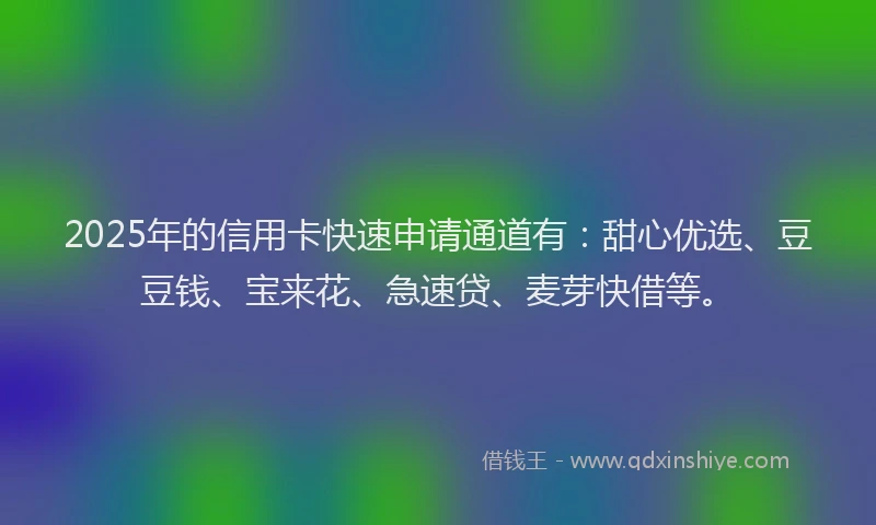 2025年的信用卡快速申请通道有：甜心优选、豆豆钱、宝来花、急速贷、麦芽快借等。