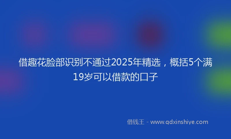 借趣花脸部识别不通过2025年精选，概括5个满19岁可以借款的口子
