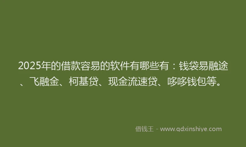 2025年的借款容易的软件有哪些有：钱袋易融途、飞融金、柯基贷、现金流速贷、哆哆钱包等。