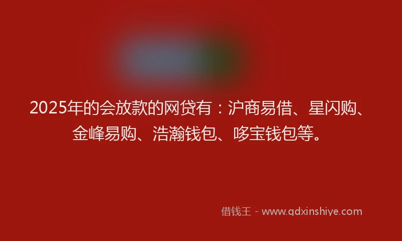 2025年的会放款的网贷有：沪商易借、星闪购、金峰易购、浩瀚钱包、哆宝钱包等。