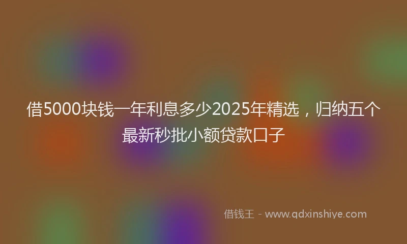 借5000块钱一年利息多少2025年精选，归纳五个最新秒批小额贷款口子