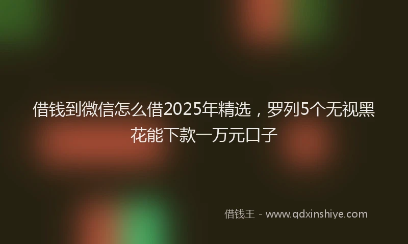 借钱到微信怎么借2025年精选，罗列5个无视黑花能下款一万元口子