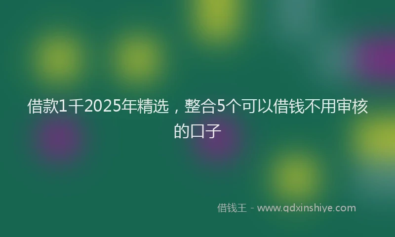 借款1千2025年精选，整合5个可以借钱不用审核的口子