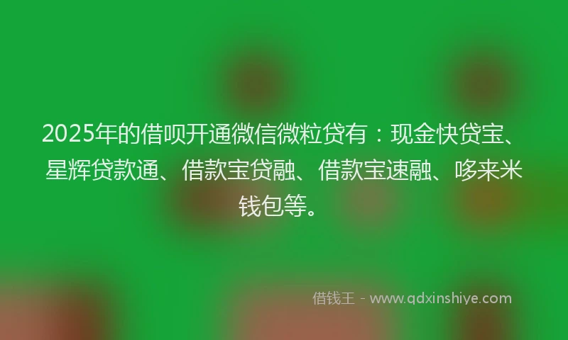 2025年的借呗开通微信微粒贷有：现金快贷宝、星辉贷款通、借款宝贷融、借款宝速融、哆来米钱包等。