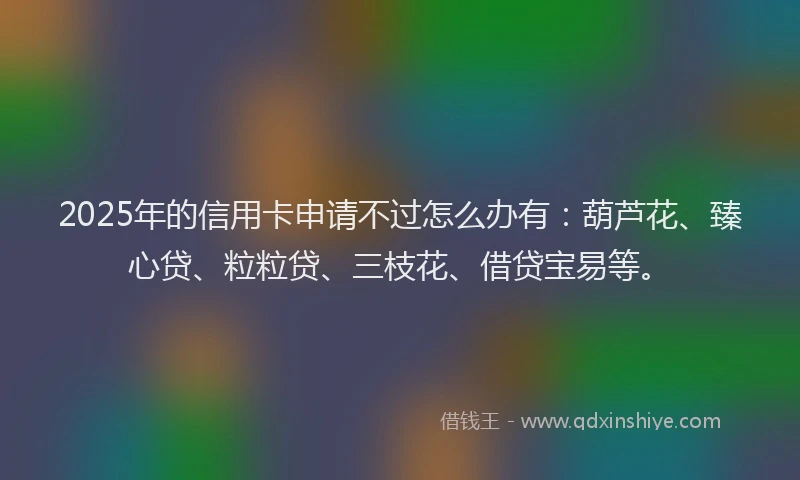 2025年的信用卡申请不过怎么办有：葫芦花、臻心贷、粒粒贷、三枝花、借贷宝易等。