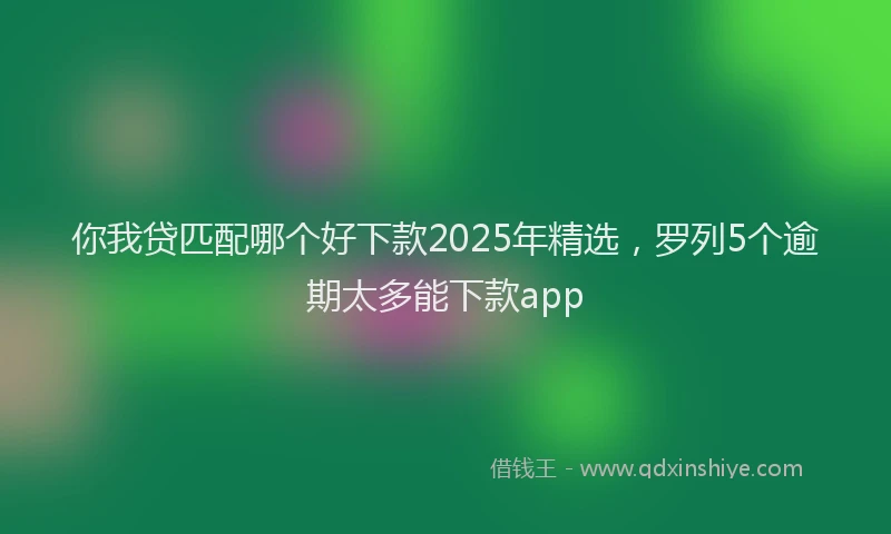 你我贷匹配哪个好下款2025年精选，罗列5个逾期太多能下款app