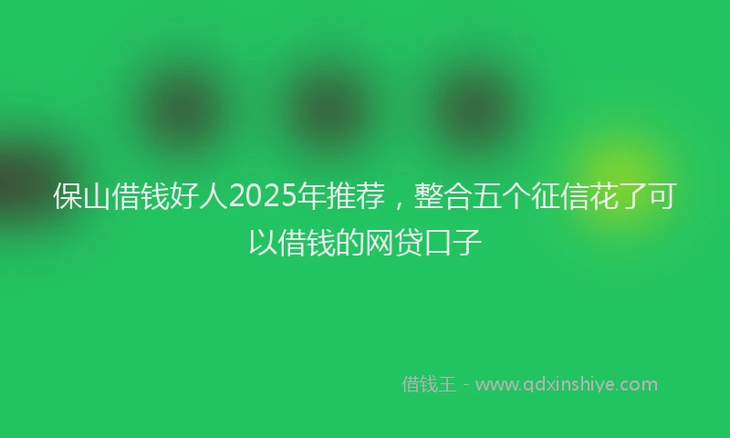 保山借钱好人2025年推荐，整合五个征信花了可以借钱的网贷口子