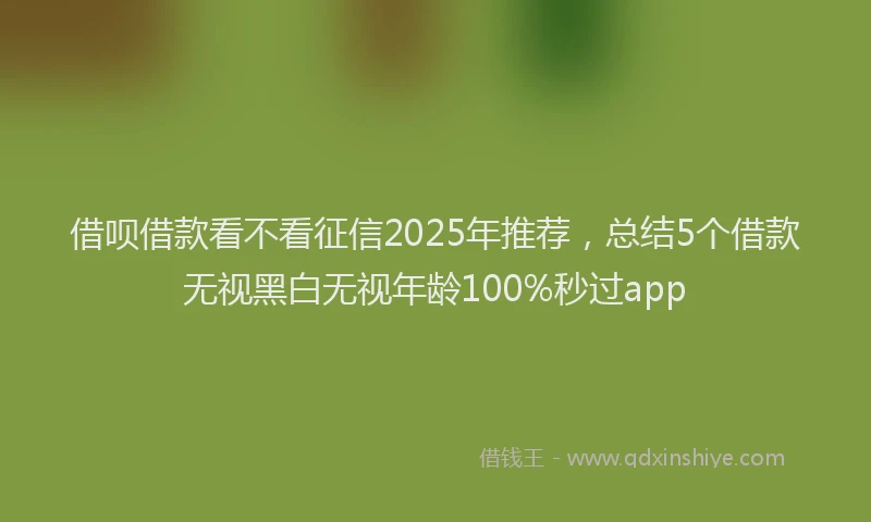 借呗借款看不看征信2025年推荐，总结5个借款无视黑白无视年龄100%秒过app