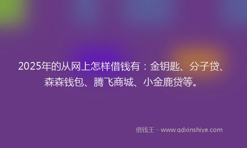 2025年的从网上怎样借钱有：金钥匙、分子贷、森森钱包、腾飞商城、小金鹿贷等。