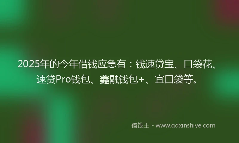 2025年的今年借钱应急有：钱速贷宝、口袋花、速贷Pro钱包、鑫融钱包+、宜口袋等。