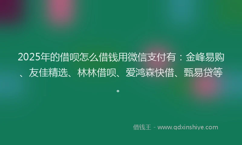 2025年的借呗怎么借钱用微信支付有：金峰易购、友佳精选、林林借呗、爱鸿森快借、甄易贷等。