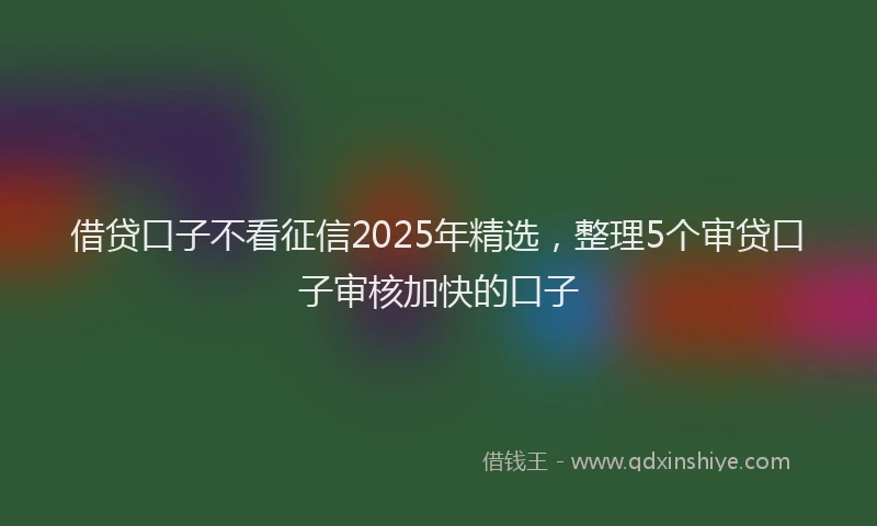 借贷口子不看征信2025年精选，整理5个审贷口子审核加快的口子