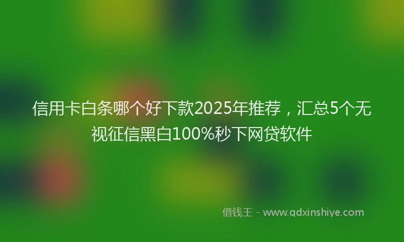 信用卡白条哪个好下款2025年推荐，汇总5个无视征信黑白100%秒下网贷软件
