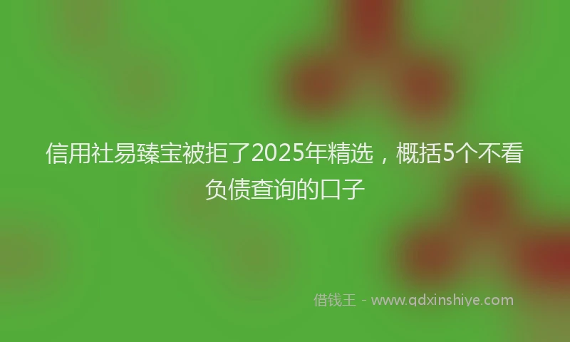 信用社易臻宝被拒了2025年精选，概括5个不看负债查询的口子