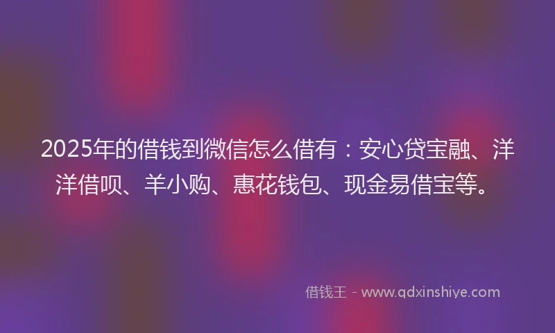 2025年的借钱到微信怎么借有：安心贷宝融、洋洋借呗、羊小购、惠花钱包、现金易借宝等。