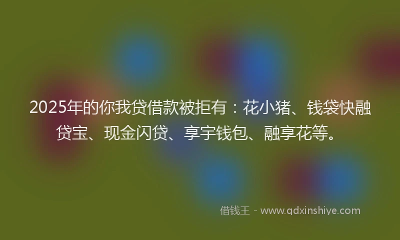 2025年的你我贷借款被拒有：花小猪、钱袋快融贷宝、现金闪贷、享宇钱包、融享花等。