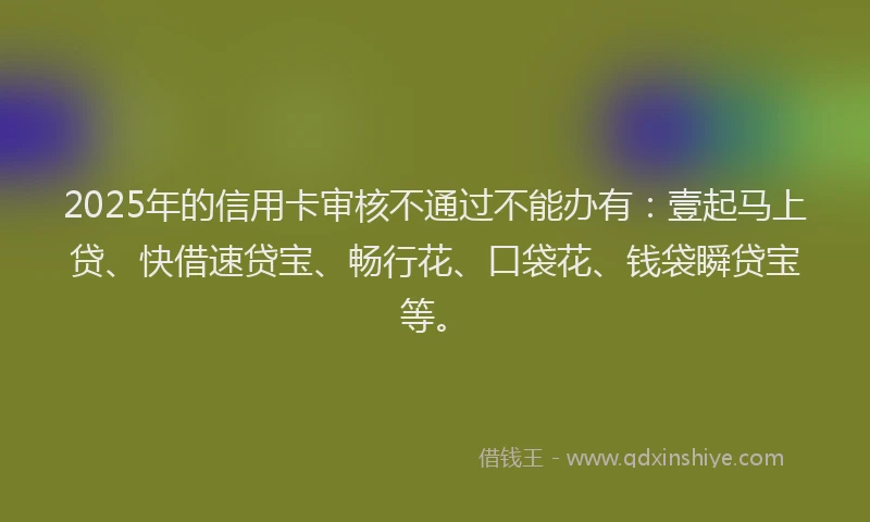 2025年的信用卡审核不通过不能办有：壹起马上贷、快借速贷宝、畅行花、口袋花、钱袋瞬贷宝等。