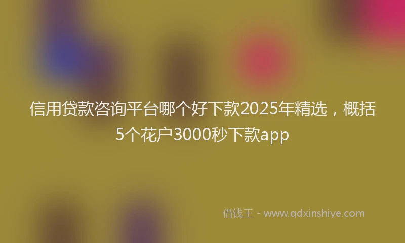 信用贷款咨询平台哪个好下款2025年精选，概括5个花户3000秒下款app