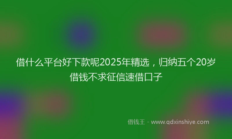 借什么平台好下款呢2025年精选，归纳五个20岁借钱不求征信速借口子