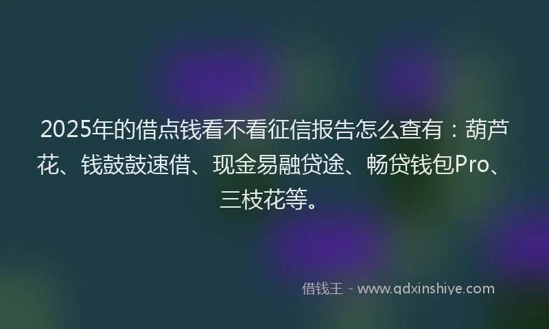 2025年的借点钱看不看征信报告怎么查有：葫芦花、钱鼓鼓速借、现金易融贷途、畅贷钱包Pro、三枝花等。