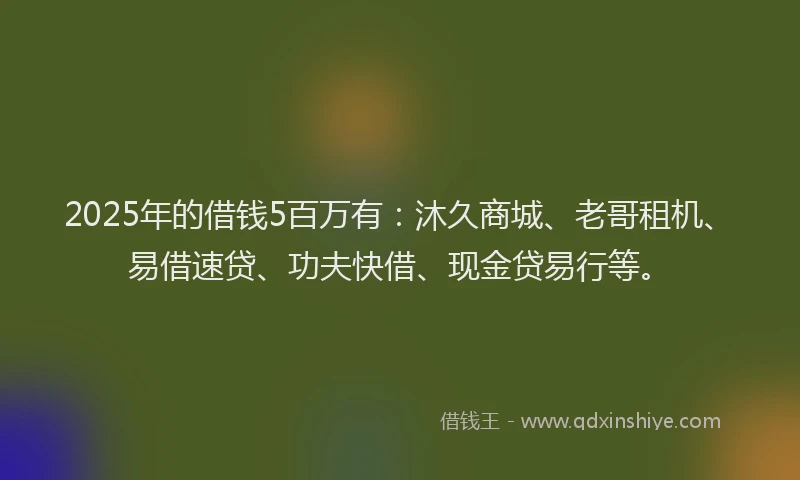 2025年的借钱5百万有：沐久商城、老哥租机、易借速贷、功夫快借、现金贷易行等。