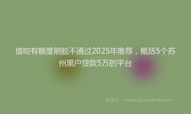 借呗有额度刷脸不通过2025年推荐，概括5个苏州黑户贷款5万的平台