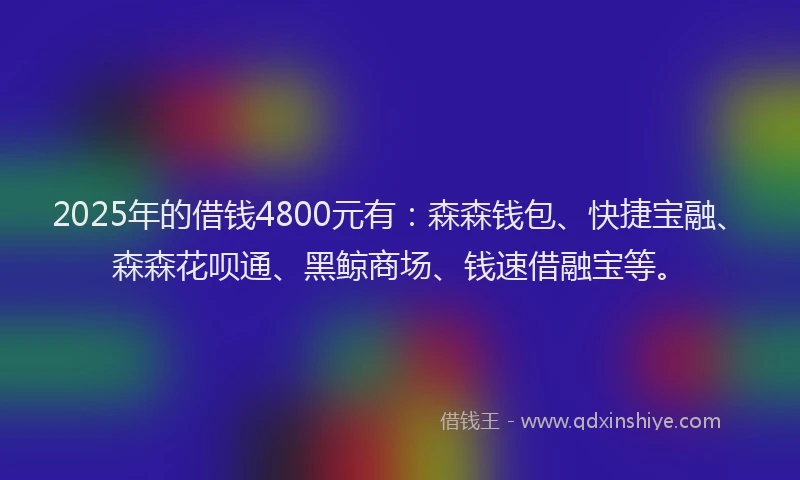 2025年的借钱4800元有：森森钱包、快捷宝融、森森花呗通、黑鲸商场、钱速借融宝等。