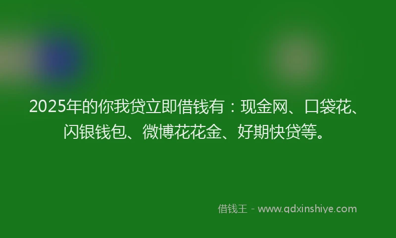 2025年的你我贷立即借钱有：现金网、口袋花、闪银钱包、微博花花金、好期快贷等。