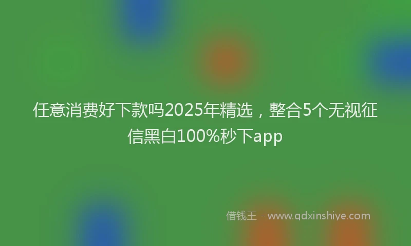 任意消费好下款吗2025年精选，整合5个无视征信黑白100%秒下app