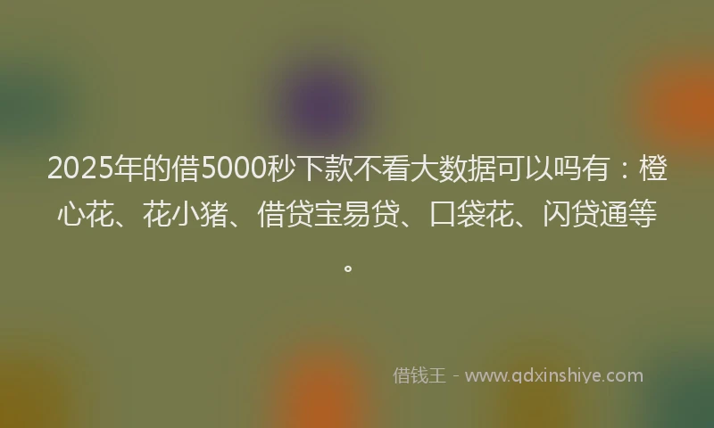 2025年的借5000秒下款不看大数据可以吗有：橙心花、花小猪、借贷宝易贷、口袋花、闪贷通等。