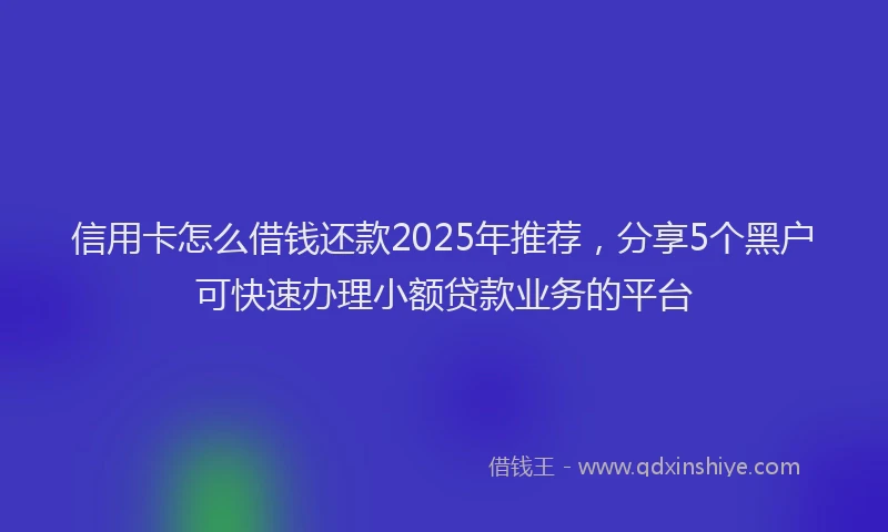 信用卡怎么借钱还款2025年推荐，分享5个黑户可快速办理小额贷款业务的平台