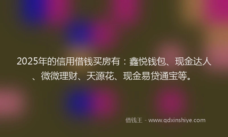 2025年的信用借钱买房有：鑫悦钱包、现金达人、微微理财、天源花、现金易贷通宝等。