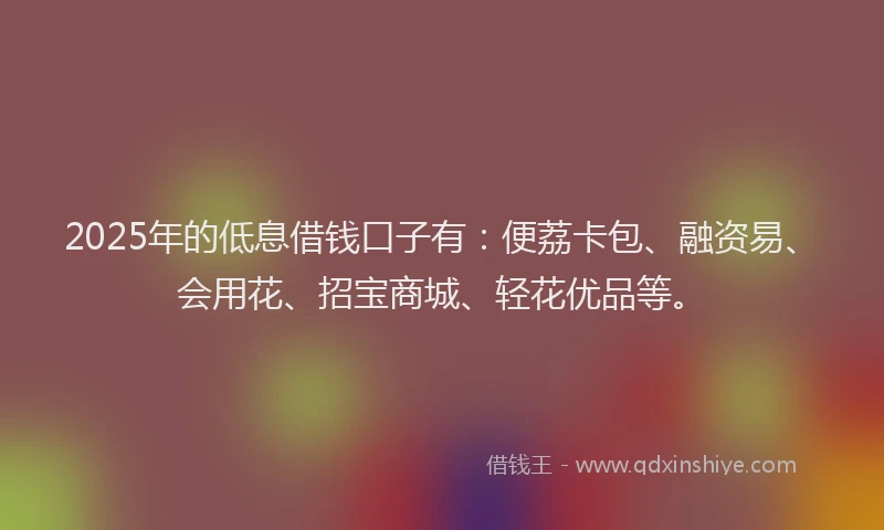2025年的低息借钱口子有：便荔卡包、融资易、会用花、招宝商城、轻花优品等。
