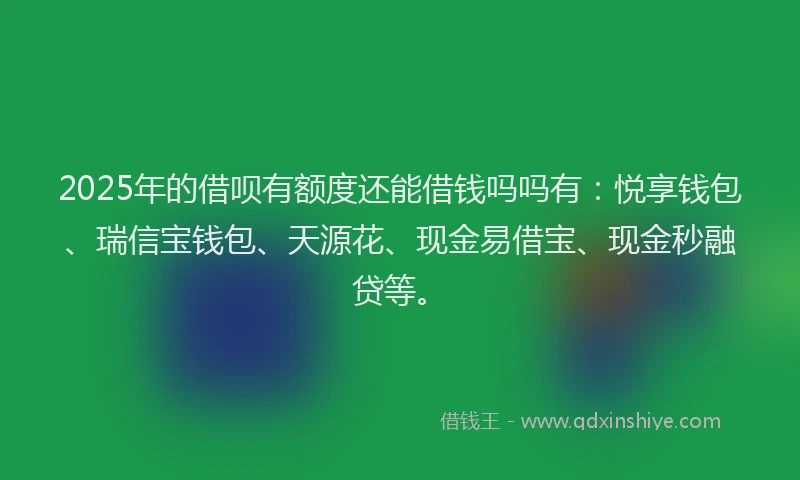 2025年的借呗有额度还能借钱吗吗有：悦享钱包、瑞信宝钱包、天源花、现金易借宝、现金秒融贷等。