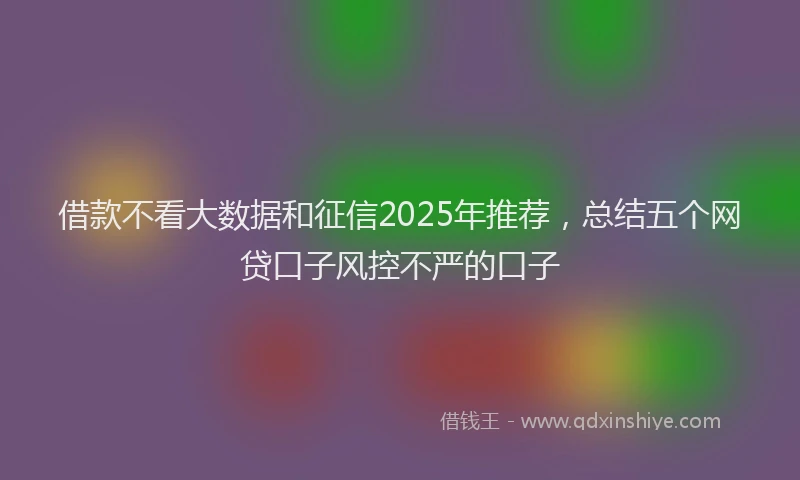 借款不看大数据和征信2025年推荐，总结五个网贷口子风控不严的口子
