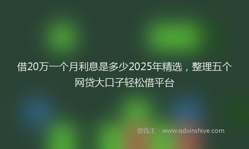借20万一个月利息是多少2025年精选，整理五个网贷大口子轻松借平台