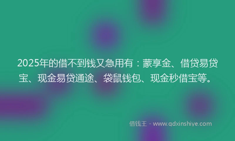 2025年的借不到钱又急用有：蒙享金、借贷易贷宝、现金易贷通途、袋鼠钱包、现金秒借宝等。