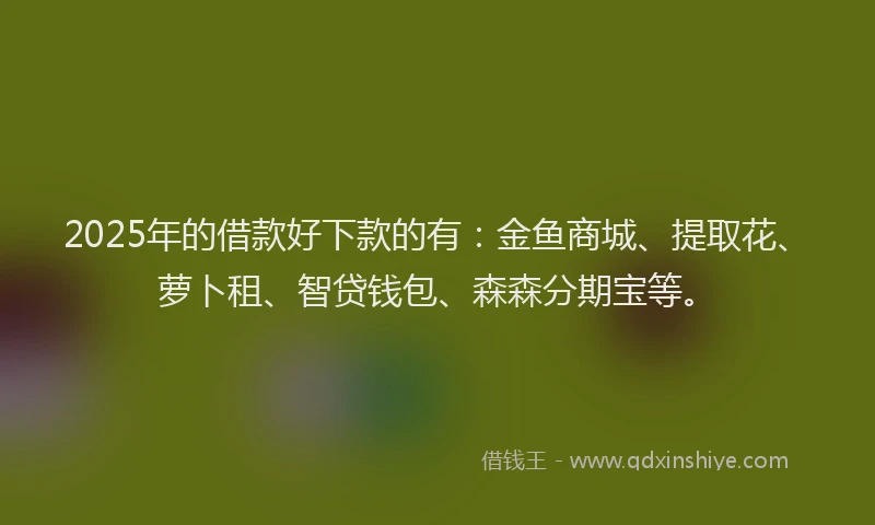 2025年的借款好下款的有：金鱼商城、提取花、萝卜租、智贷钱包、森森分期宝等。