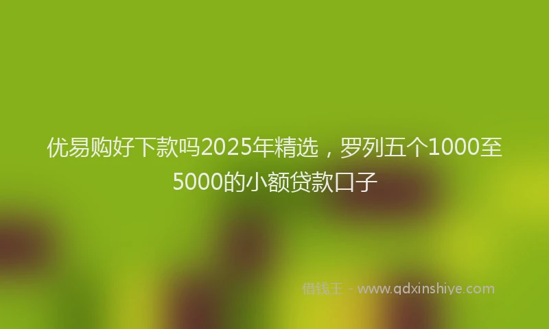 优易购好下款吗2025年精选，罗列五个1000至5000的小额贷款口子