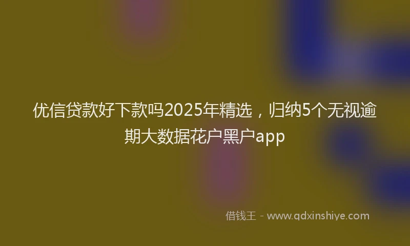 优信贷款好下款吗2025年精选，归纳5个无视逾期大数据花户黑户app