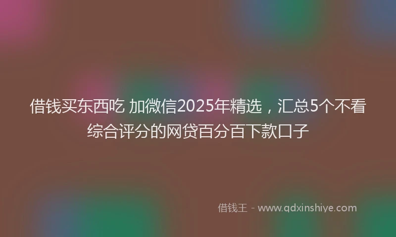 借钱买东西吃 加微信2025年精选，汇总5个不看综合评分的网贷百分百下款口子