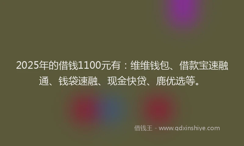 2025年的借钱1100元有：维维钱包、借款宝速融通、钱袋速融、现金快贷、鹿优选等。