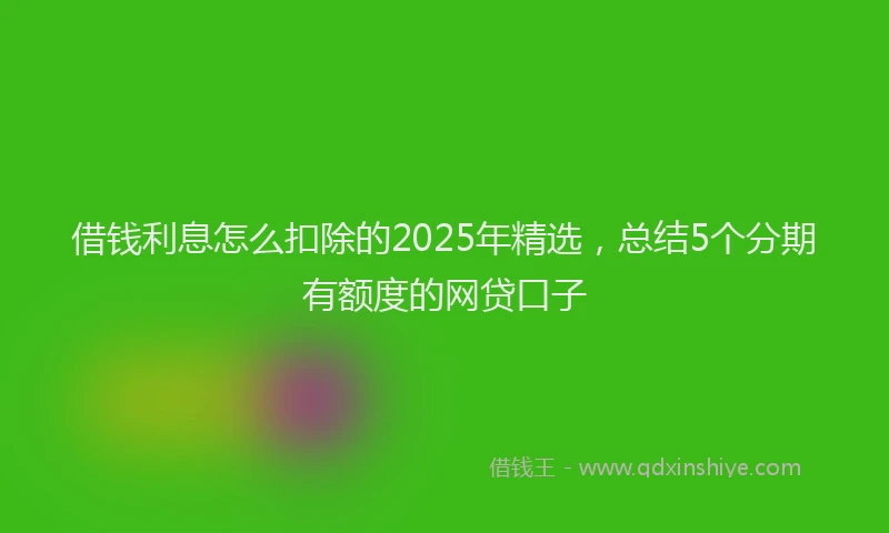 借钱利息怎么扣除的2025年精选，总结5个分期有额度的网贷口子