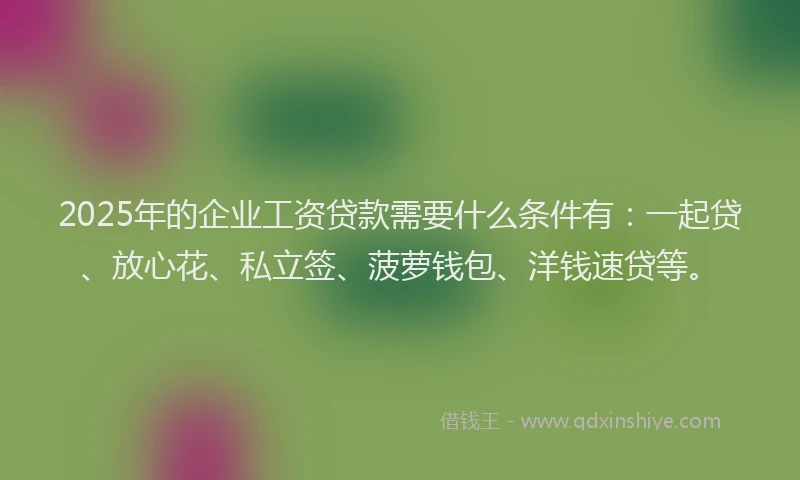 2025年的企业工资贷款需要什么条件有：一起贷、放心花、私立签、菠萝钱包、洋钱速贷等。