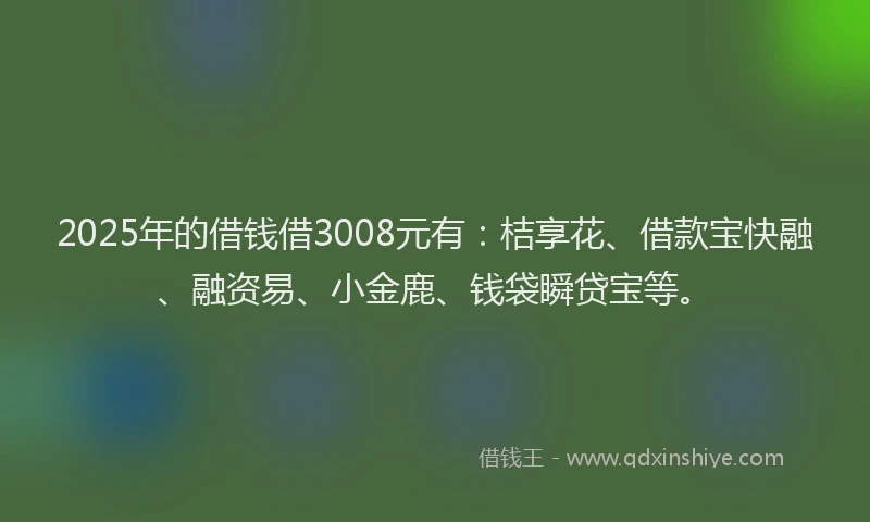 2025年的借钱借3008元有：桔享花、借款宝快融、融资易、小金鹿、钱袋瞬贷宝等。