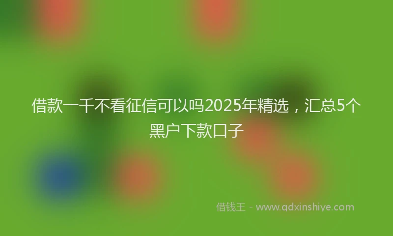 借款一千不看征信可以吗2025年精选，汇总5个黑户下款口子