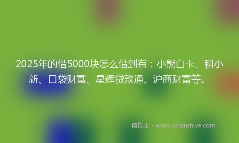 2025年的借5000块怎么借到有：小熊白卡、租小新、口袋财富、星辉贷款通、沪商财富等。