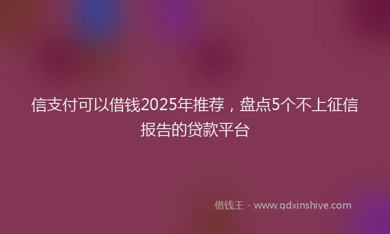 信支付可以借钱2025年推荐，盘点5个不上征信报告的贷款平台