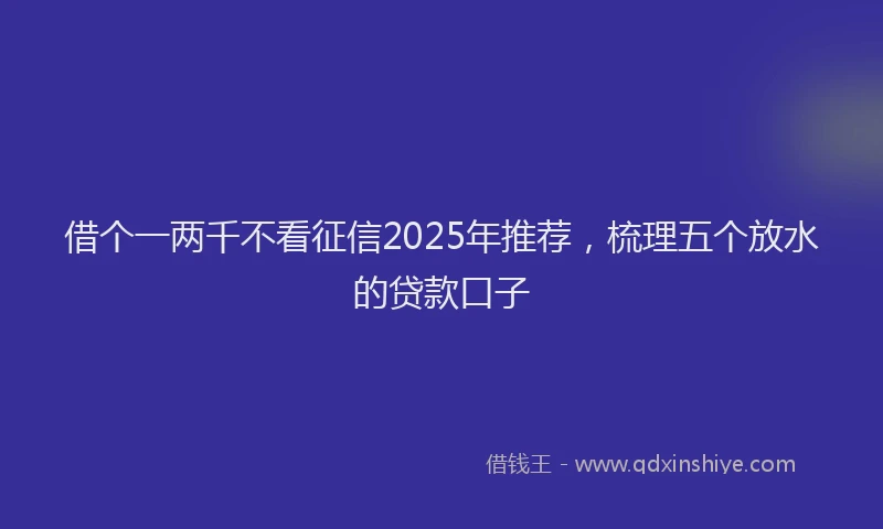 借个一两千不看征信2025年推荐，梳理五个放水的贷款口子